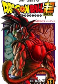 Dragon Ball Super Cover